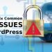 Common SSL Issues in WordPress